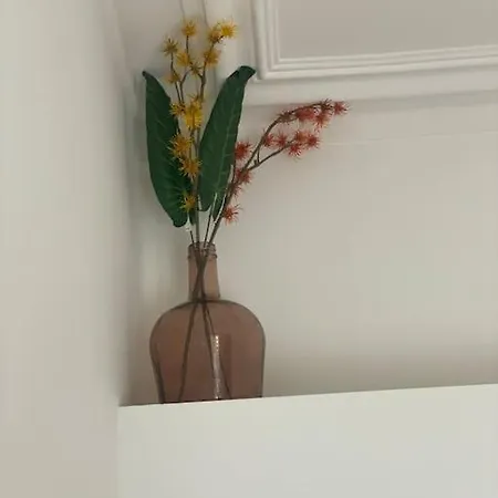 Apartment Artus T2 Proche Artem Thermes Neuf Nancy